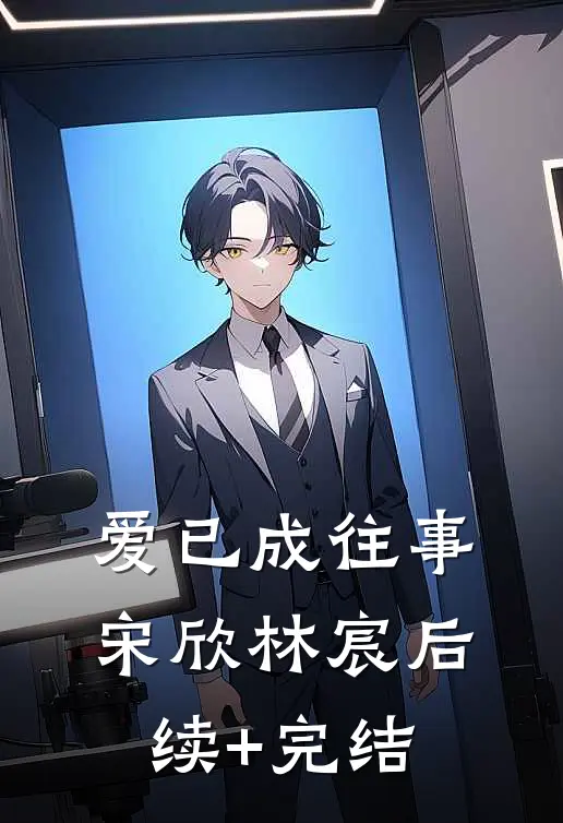 爱已成往事宋欣林宸后续+完结
