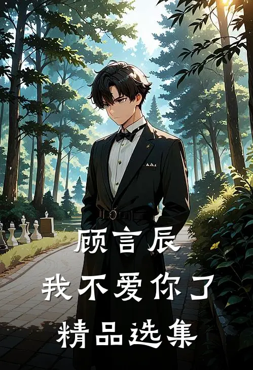 顾言辰，我不爱你了精品选集