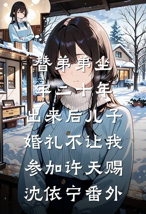 替弟弟坐牢二十年，出来后儿子婚礼不让我参加许天赐沈依宁 番外