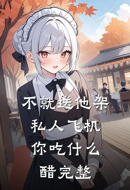不就送他架私人飞机，你吃什么醋完整