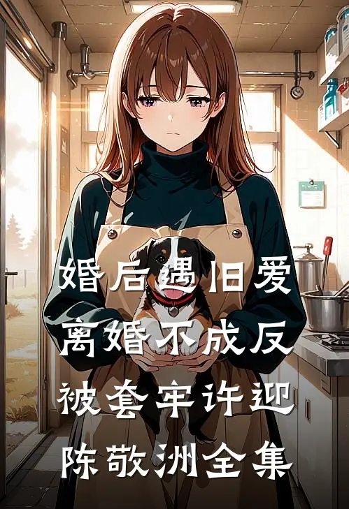 婚后遇旧爱，离婚不成反被套牢许迎陈敬洲全集