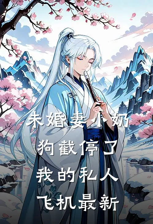 未婚妻小奶狗截停了我的私人飞机最新