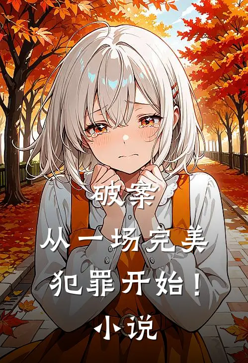 破案：从一场完美犯罪开始！小说