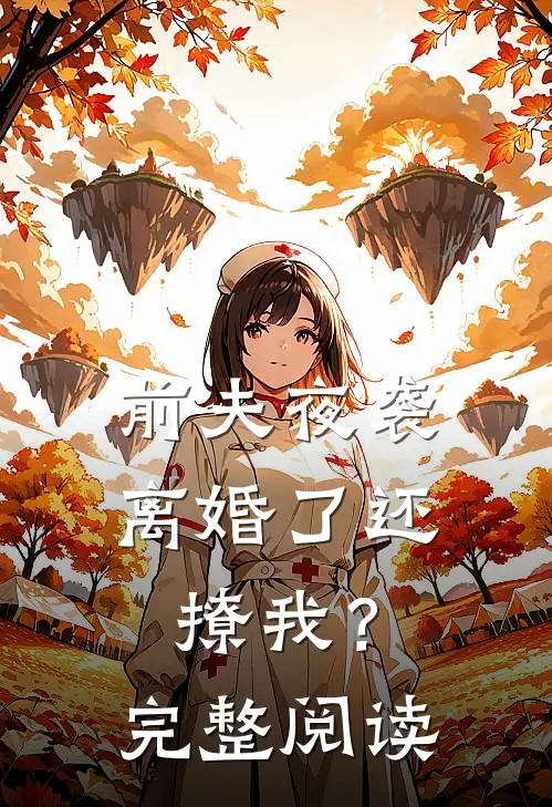 前夫夜袭：离婚了还撩我？完整阅读