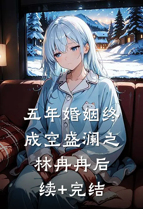 五年婚姻终成空盛澜之林冉冉后续+完结