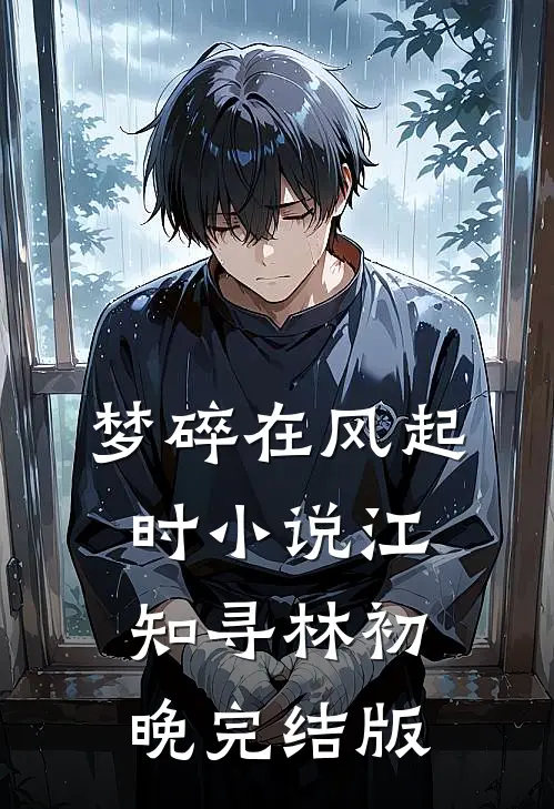 梦碎在风起时小说江知寻林初晚完结版