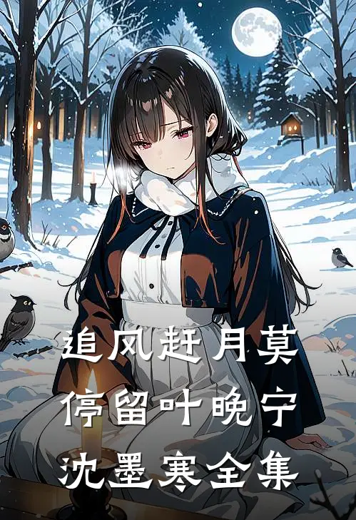 追风赶月莫停留叶晚宁沈墨寒 全集