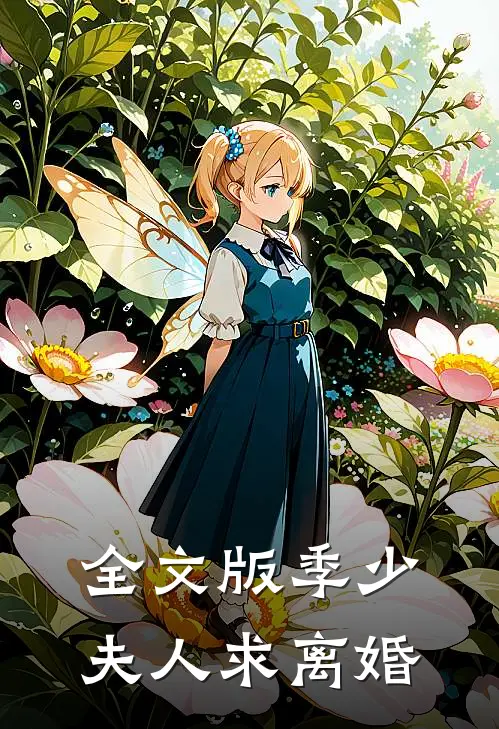 全文版季少夫人求离婚