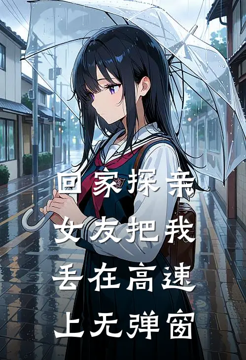 回家探亲，女友把我丢在高速上无弹窗