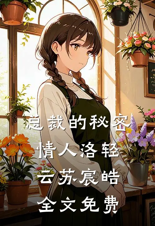 总裁的秘密情人洛轻云苏宸皓全文免费