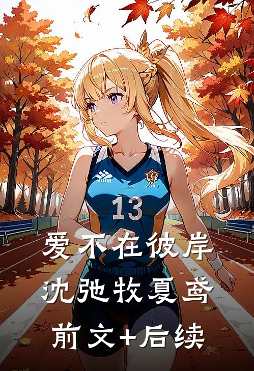 爱不在彼岸沈弛牧夏鸢前文+后续