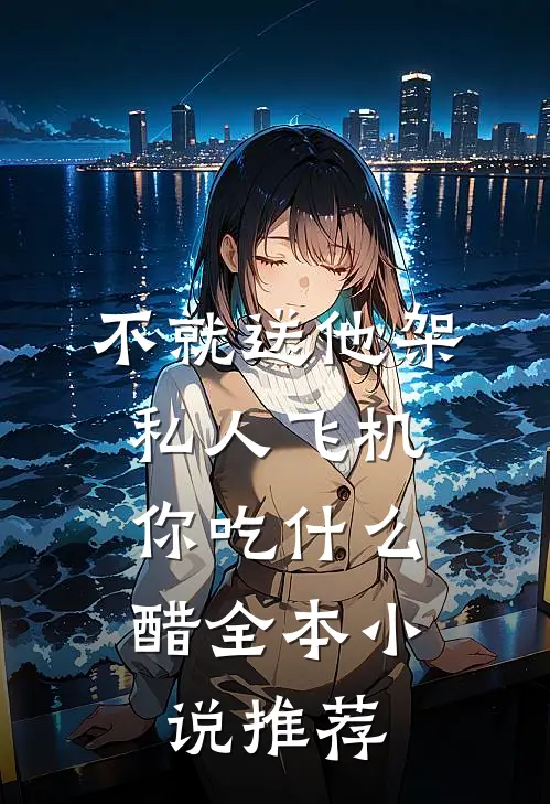 不就送他架私人飞机，你吃什么醋全本小说推荐
