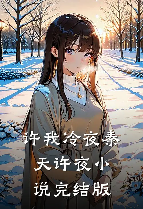 许我冷夜秦天许夜小说完结版