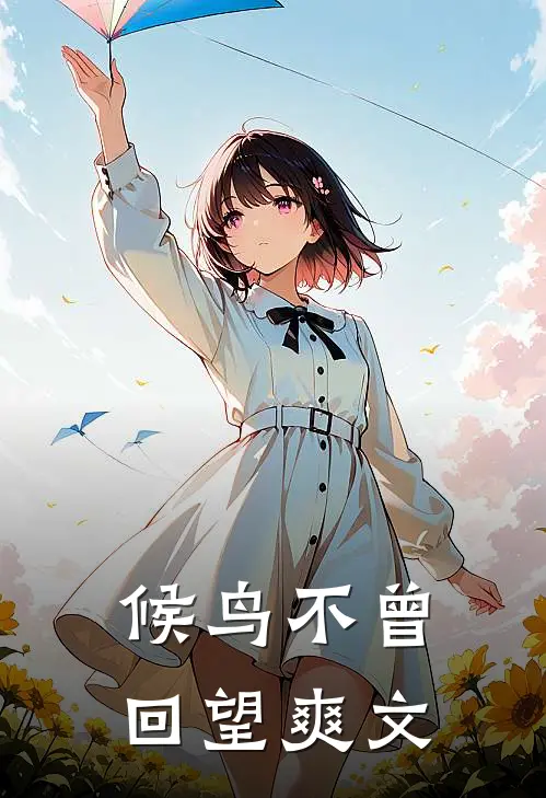 候鸟不曾回望爽文