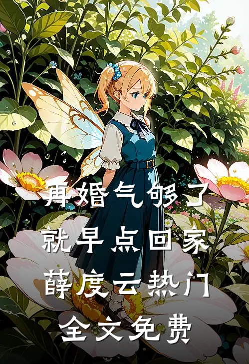 再婚-气够了，就早点回家薛度云热门全文免费