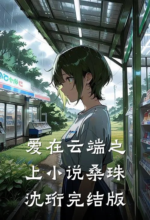 爱在云端之上小说桑珠沈珩完结版