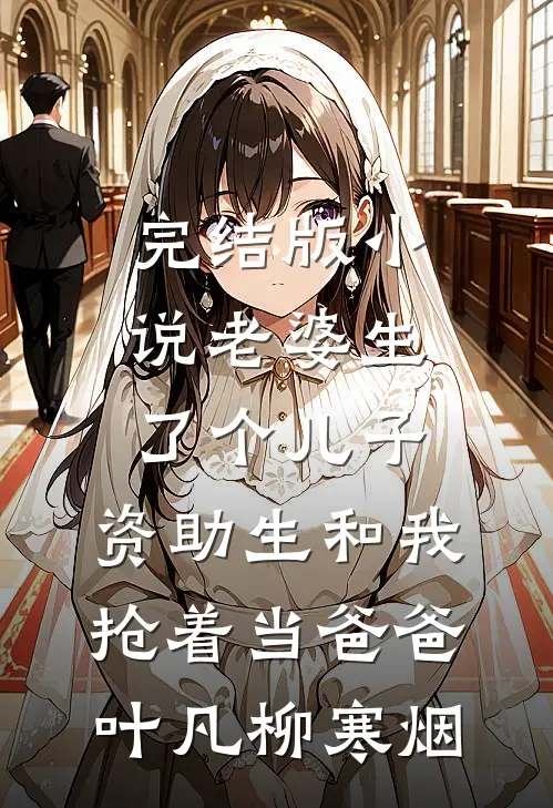 完结版小说老婆生了个儿子，资助生和我抢着当爸爸叶凡柳寒烟