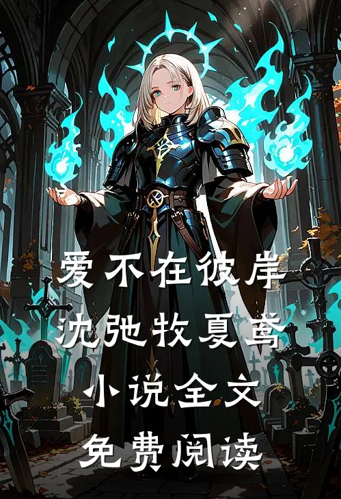 爱不在彼岸沈弛牧夏鸢小说全文免费阅读