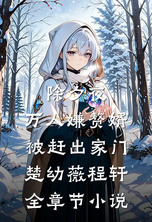 除夕夜，万人嫌赘婿被赶出家门楚幼薇程轩全章节小说