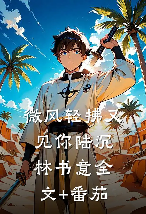 微风轻拂又见你陆沉林书意全文+番茄