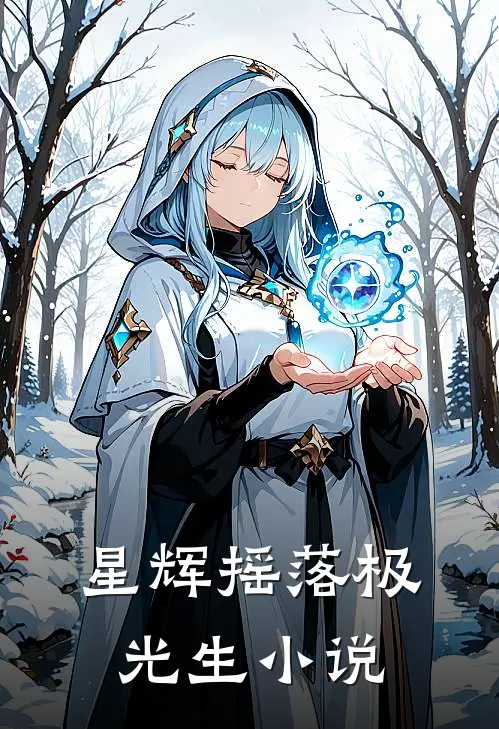 星辉摇落极光生小说