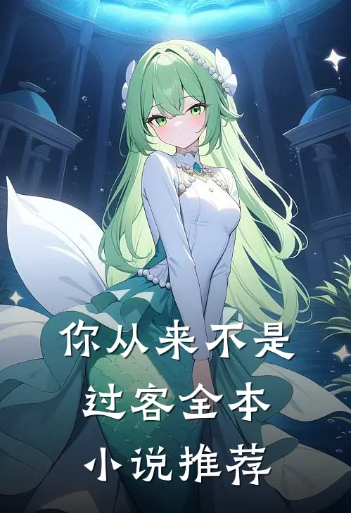 你从来不是过客全本小说推荐