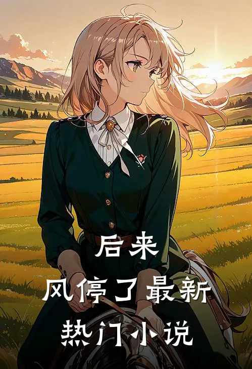 后来，风停了最新热门小说