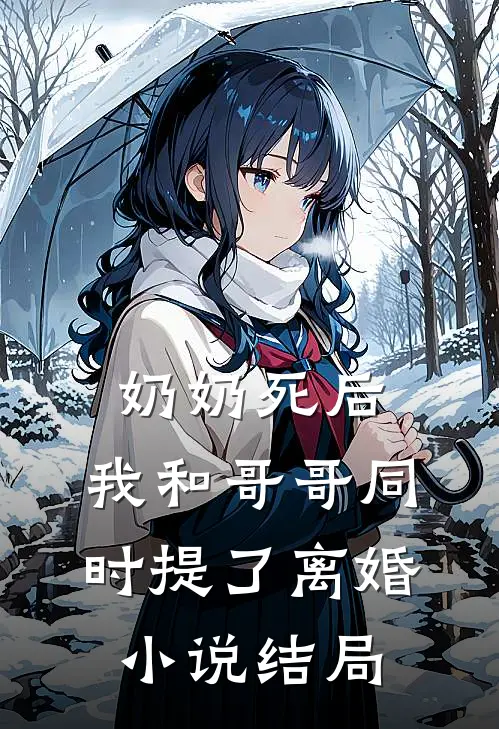 奶奶死后，我和哥哥同时提了离婚小说结局